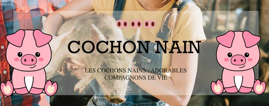 LES COCHONS NAINS : ADORABLES COMPAGNONS DE VIE