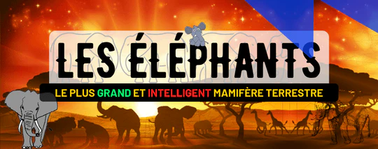 ÉLÉPHANT D’ASIE ET D’AFRIQUE : DESCRIPTION, FAITS, LONGÉVITÉ, COMPORT...