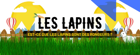 EST-CE QUE LES LAPINS SONT DES RONGEURS ?