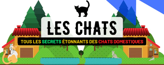 LE CHAT DOMESTIQUE : DESCRIPTION, HABITAT, SOMMEIL, REPRODUCTION, ALI...