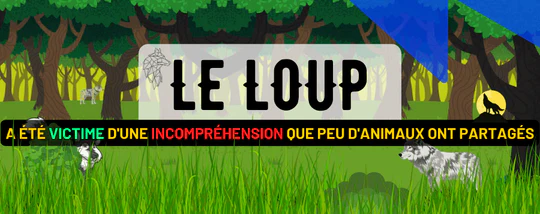 LE LOUP : LIEU DE VIE, ALIMENTATION, COMPORTEMENT EN MEUTE ET SES ORI...