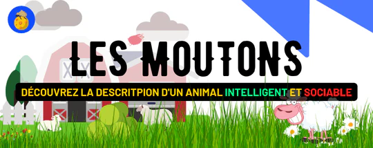 LE MOUTON : INTELLIGENCE, SOCIABILITÉ, HABITAT, REPRODUCTION ET DESCR...