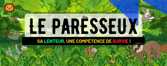 LE PARESSEUX : DESCRIPTION, HABITAT, ALIMENTATION ET SA LENTEUR, UNE ...