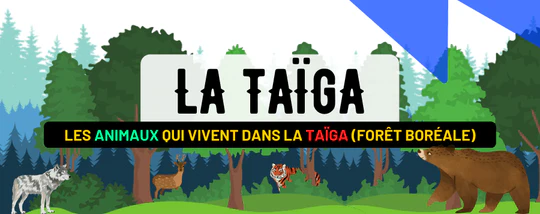 LES ANIMAUX DE LA TAÏGA : 20 ANIMAUX QUI AFFRONTENT LE FROID DE LA FO...