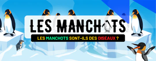 LES MANCHOTS SONT ILS DES OISEAUX ?