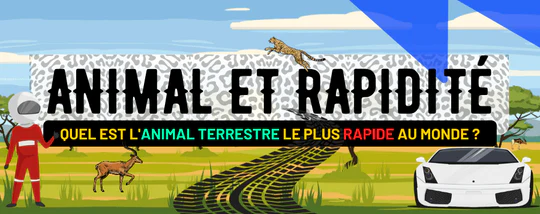 QUEL EST L'ANIMAL TERRESTRE LE PLUS RAPIDE AU MONDE ?