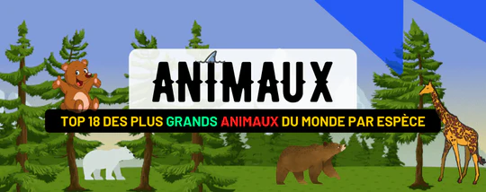 TOP 18 DES PLUS GRANDS ANIMAUX DU MONDE PAR ESPÈCE