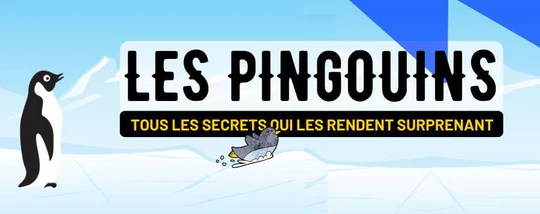 TOUS LES SECRETS QUI RENDENT LES PINGOUINS AUSSI SURPRENANT !